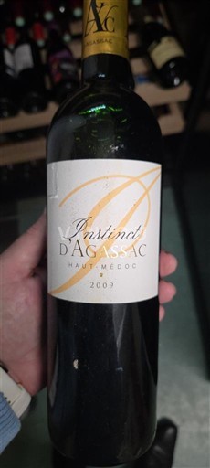 Bordéus Haut-Médoc Château Agassac Instinct d'Agassac 2009