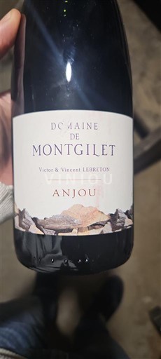 Loiredalen Anjou Domaine Montgilet Icke årgångsbetecknad