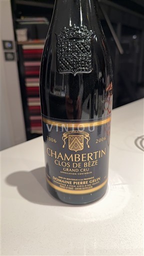 Borgogna Chambertin-Clos-de-Bèze Grand Cru Domaine Pierre Gelin 2006