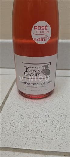 Loire Valley Cabernet d'Anjou Domaine S Bonnes Gagnes Non-Vintage