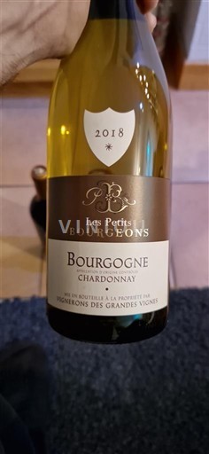 Bourgogne Bourgogne Chardonnay Les Petits Bourgeons 2018