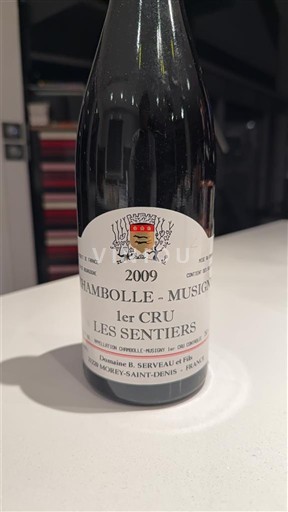 Bourgondië Niet gespecificeerd Premier Cru Domaine B. Serveau et Fils Les Sentiers 2009