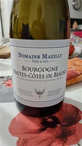 Borgoña Hautes Côtes de Beaune Domaine Mazilly Père & Fils 2022