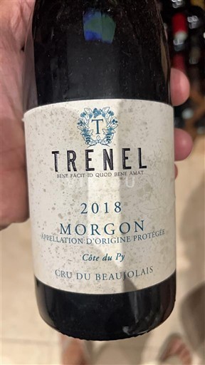 Beaujolais Morgon Trenel Côte du Py 2018