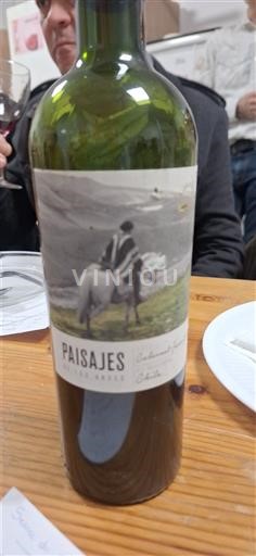 Mendoza Paisajes 2021