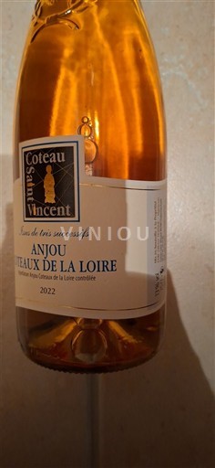 Wines Orange sec Coteau Saint Vincent 2022 France Loire Valley Anjou AOC