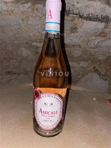 Trentino-Alto Adige Ospecificerad Amicale 2024 Icke årgångsbetecknad