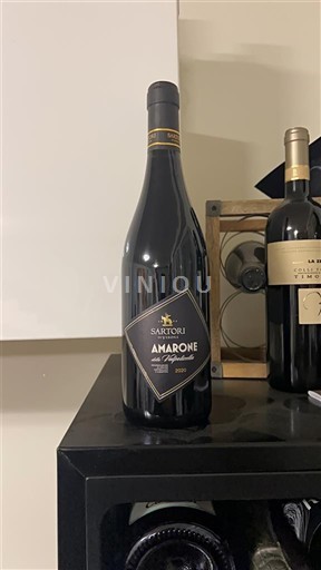 Veneto Amarone della Valpolicella Sartori 2020