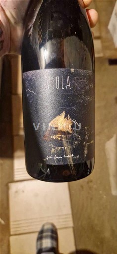 Langvedok Ni doloceno Jean-François Coutelou Viola 2023