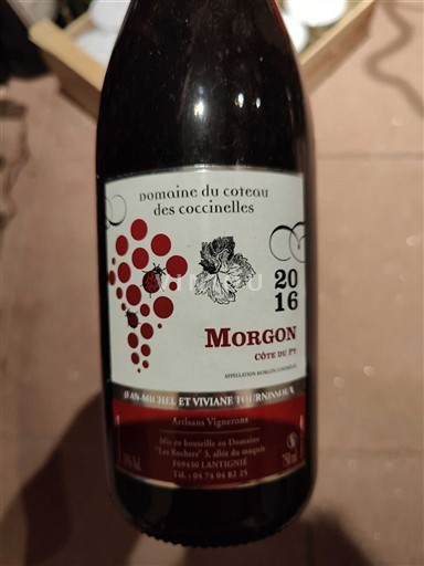 Beaujolais Morgon Domaine Coteau des Coccinelles Côte du Py 2016