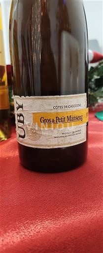 Jugozahod Côtes de Gascogne Domaine Uby Gros & Petit Manseng Neleten.