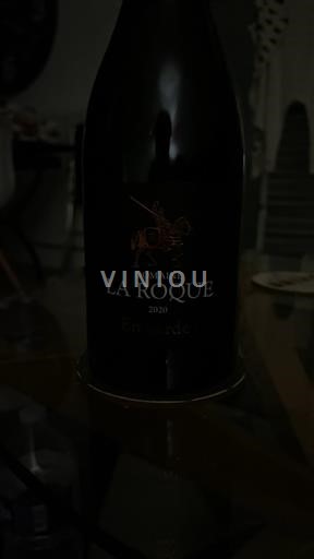 Languedoc Pic-saint-loup Domaine La Roque En Garde 2020