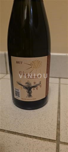 Loire Valley Crémant de Loire Rubigène Non-Vintage