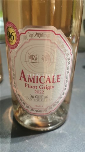 Val d'Aoste Pinot Gris Cantine Di Dora Amicale 2022