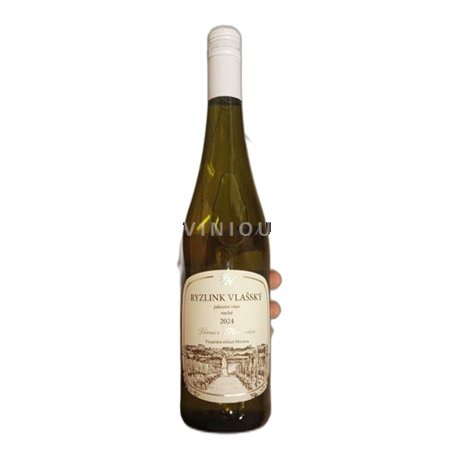 Moravia Znojemská Vinice Hnanice Ryzlink Vlassky 2024