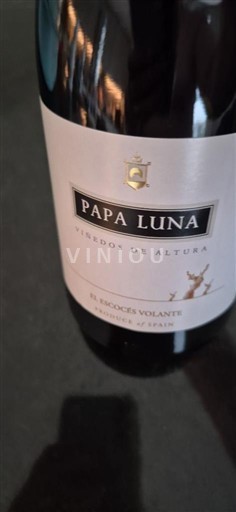 Aragón Calatayud El Escocés Volante Papa Luna 2022