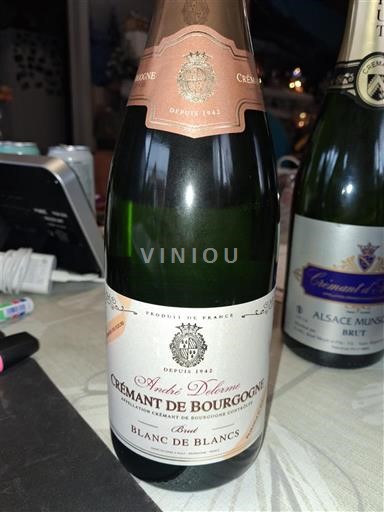 Bourgogne Crémant de Bourgogne André Delorme Blanc de Blancs Ikke årgangsbestemt