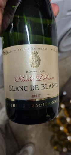 Burgund Crémant de Bourgogne André Delorme Blanc de Blancs Ohne Jahrgang