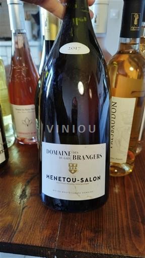 Valle del Loira Menetou-Salon Domaine S Brangers 2017