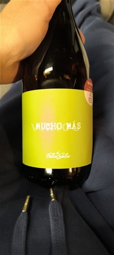 Castille-La Manche Félix Solís Mucho Más Non Millésimé