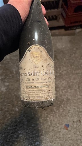 Burgundy Nuits-Saint-Georges Domaine Guyon Les Argilliats 2006