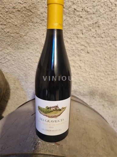 Vallée de la Loire Saint-Nicolas-De-Bourgueil Domaine Arnaux les gravilices 2022