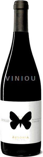 Abruzzes Montepulciano d'Abruzzo Collines Teramane Ausonia 2021