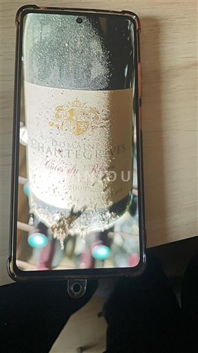 Bordeaux Graves Domaine S Chantegrives Caroline Neleten.