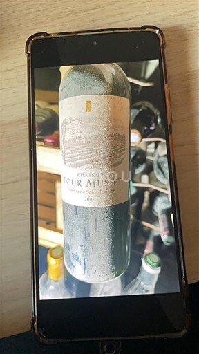 Bordeaux Montagne-saint-émilion Château Tour Musset 2007