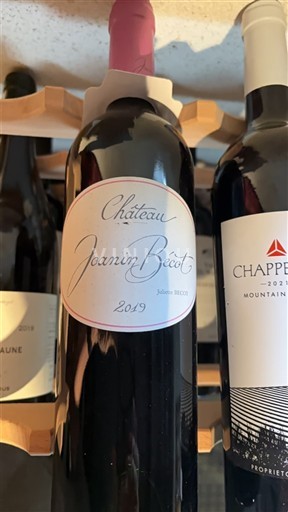 Bordeaux Castillon-côtes-de-bordeaux Château Joanin Bécot 2019
