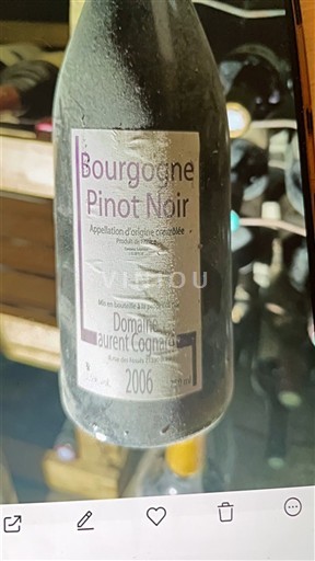 Borgogna Non specificato Domaine Laurent Cognard 2006