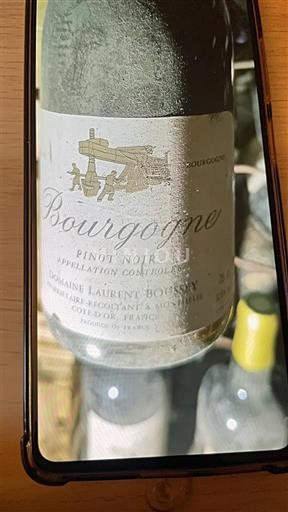 Burgundy Domaine Laurent Boussey 2004