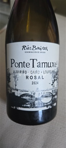 Galicia Rías Baixas Ponte Tamuxe Rosal 2024