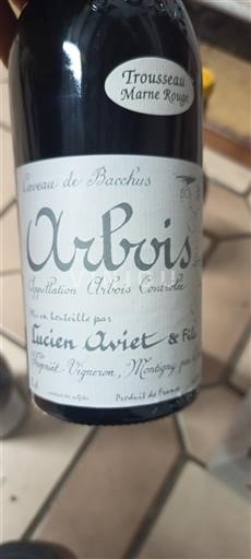 Jura Arbois Lucien Aviet & Fils Trousseau Marne Rouge 2023