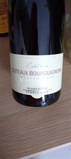 Bourgogne Bourgognebackar Vignerons Terres d'Or L'Instant du vin 2023