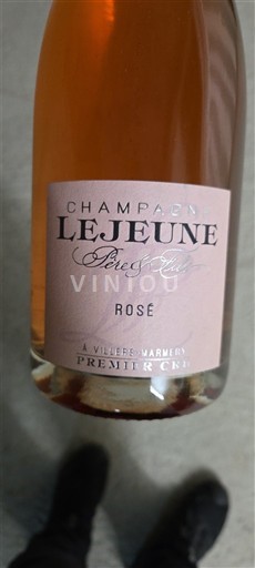 Champagne Premier Cru Champagne Lejeune Rosé Non-Vintage