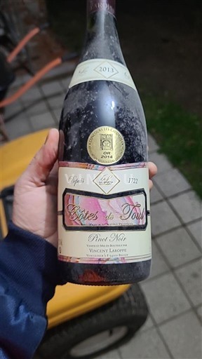 Vine Rouge sec Vignery Laboire 2017 Frankrig Lorraine Côtes-de-toul AOC