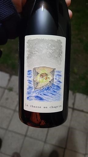 Beaujolais Non specificato Domaine La Têtue La chasse au chagrin Senza annata