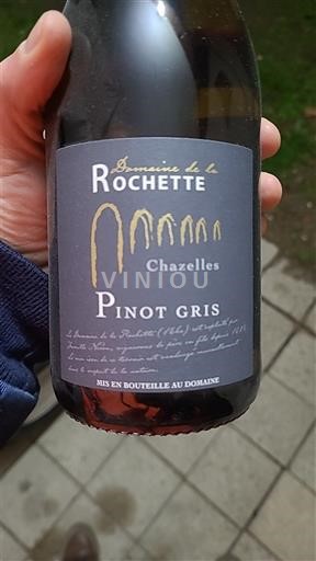 Dolina Loare Touraine Domaine La Rochette Chazelles 2020