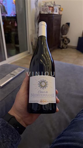 Provence, Lower Rhône Valley, Corsica Mediterranean Cuvée de Méditerranée 2024