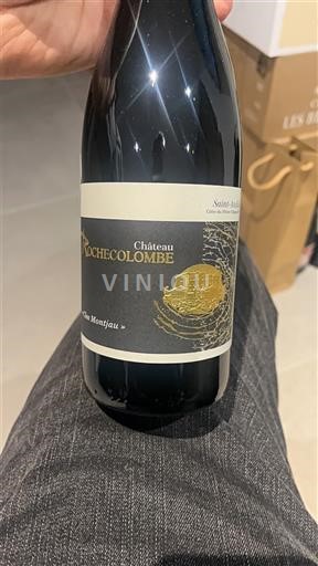 Valle del Rodano Côtes-du-rhône-villages Château Rochecolombe Saint andeol 2022