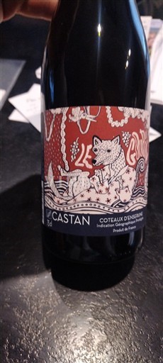 Лангедок и Русијон Кото д'Енсерун Domaine Castan Le Goupil Non Millésimé