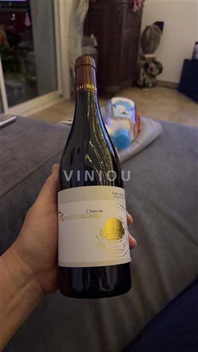 Valle del Rodano Côtes-du-Rhône Château Rochecolombe 2023