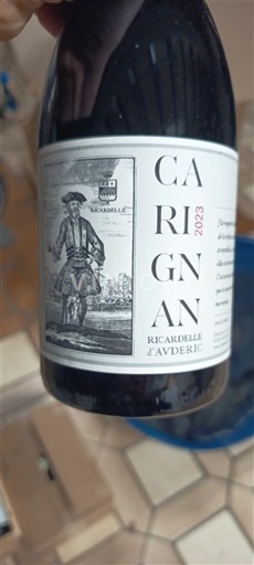 Linguadoca e Rossiglione Paese d'Oc Domaine Ricardelle Carignan 2023