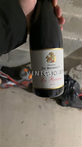 Rhône-dalen Saint-Joseph Domaine Boisseyt Les Rivoires 2019