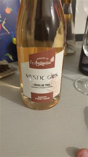 Lorraine Côtes-de-toul Domaine L'Ambroisie Mystic Gris 2024