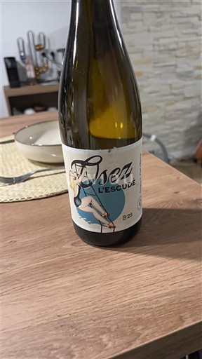 Zuidwest-Frankrijk Côtes de Gascogne L'Escudé Sauvignon & petit manseg 2023