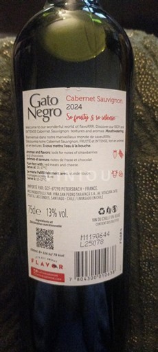 Maipo-Tal Maipo Central Gato Negro 2024