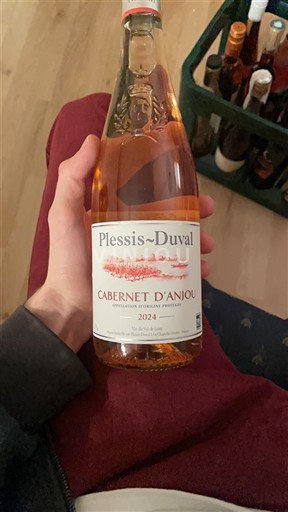 Valle del Loira Cabernet-d'Anjou Plessis-Duval 2024