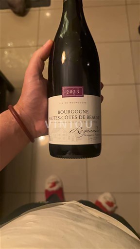 Bourgogne Ikke specificeret Reynaud 2023